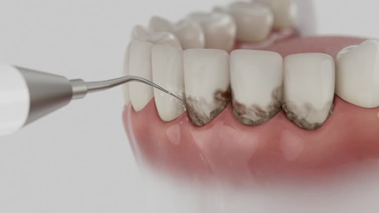 Reliable Dental contractor in Perry, LA by Dentist Open Now